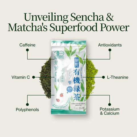 Sencha Shizuku z Matcha w proszku