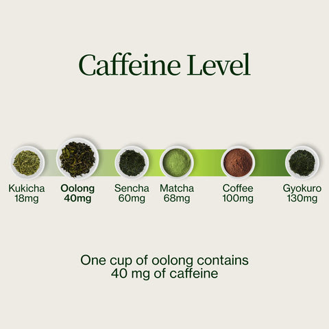 Herbata Miyazaki High Mountain Oolong
