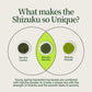 Sencha Shizuku z proszkiem Matcha