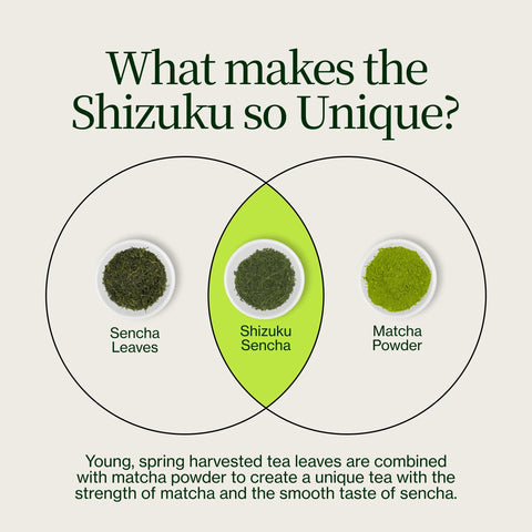 Sencha Shizuku z Matcha w proszku