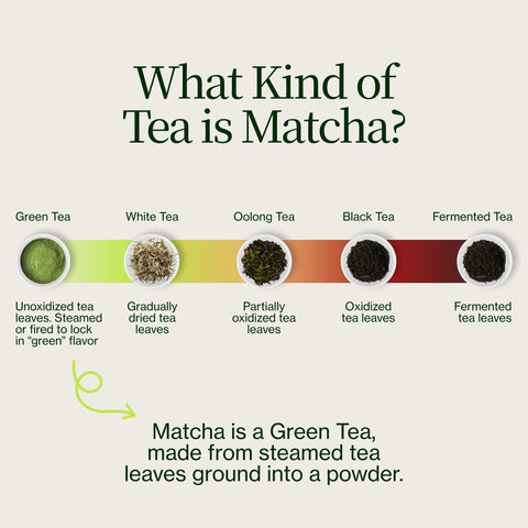 Matcha premium Chiran Zielona Herbata