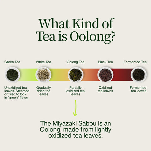Herbata Miyazaki High Mountain Oolong