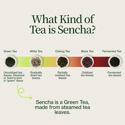 Złota Sencha Yabukita Kasugaen